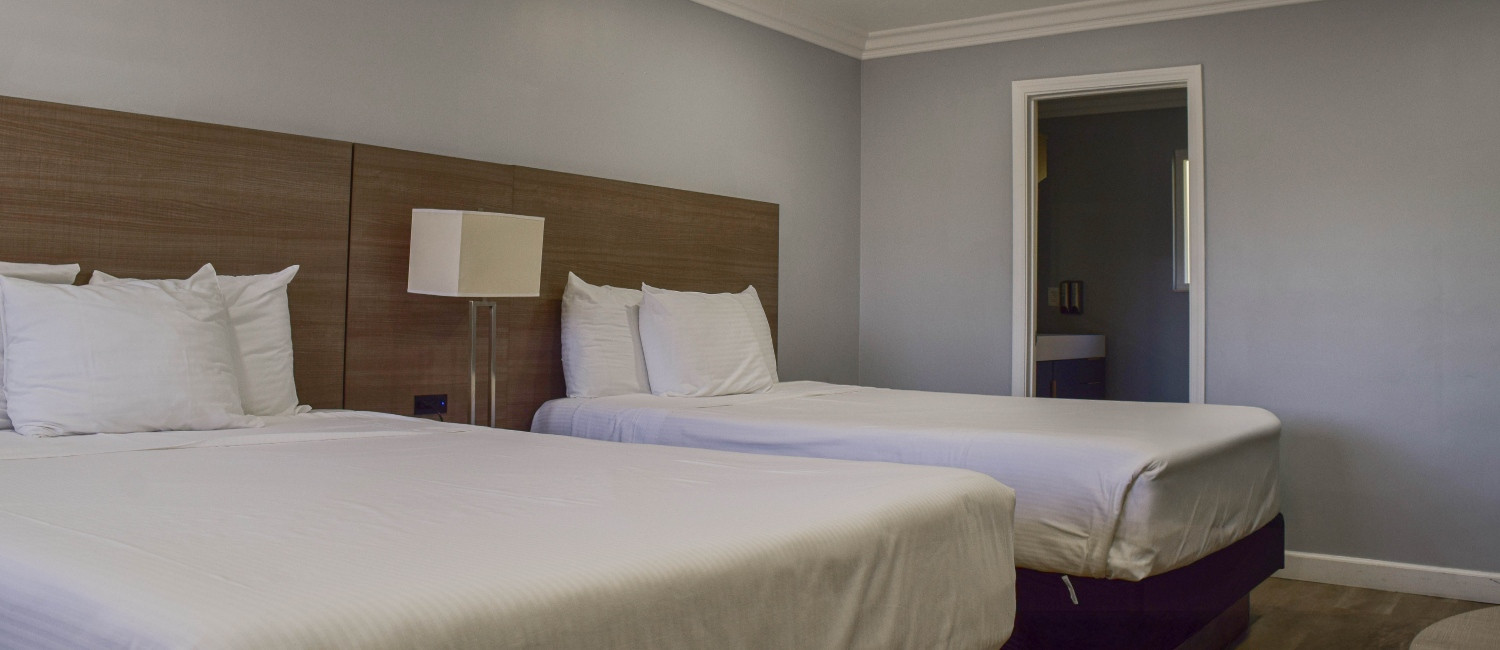 Enjoy A Relaxing Stay In With Our Spacious Guestrooms