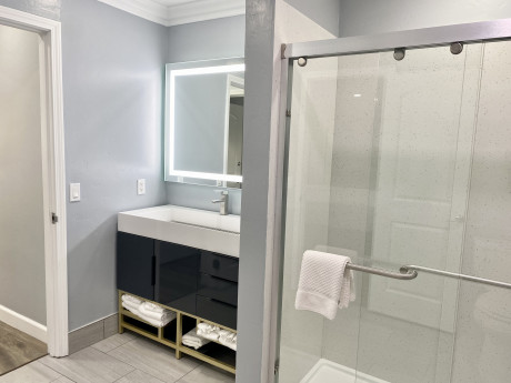 2BR Suite: 1 King ea.